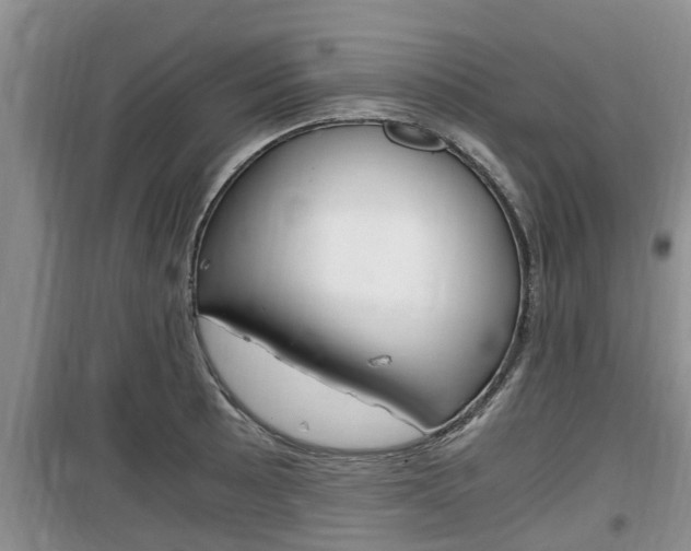 X0000100191089200805300719