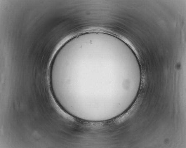 X0000100191090200805300719