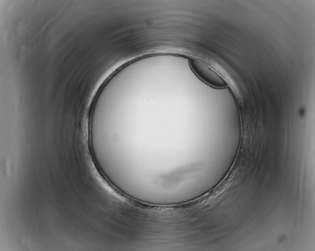 X0000100191092200805300719