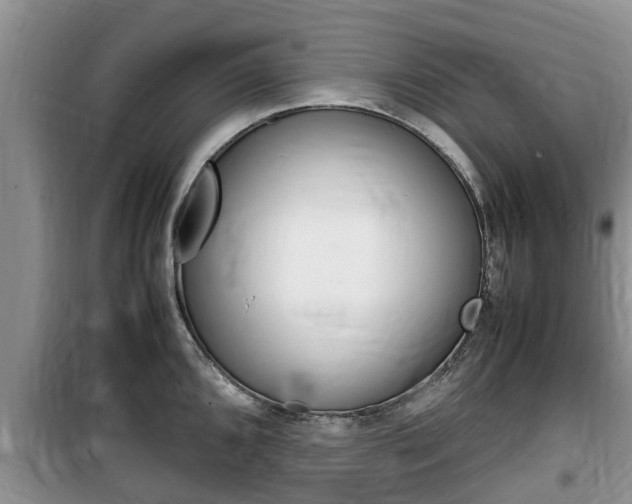 X0000100191096200805300719