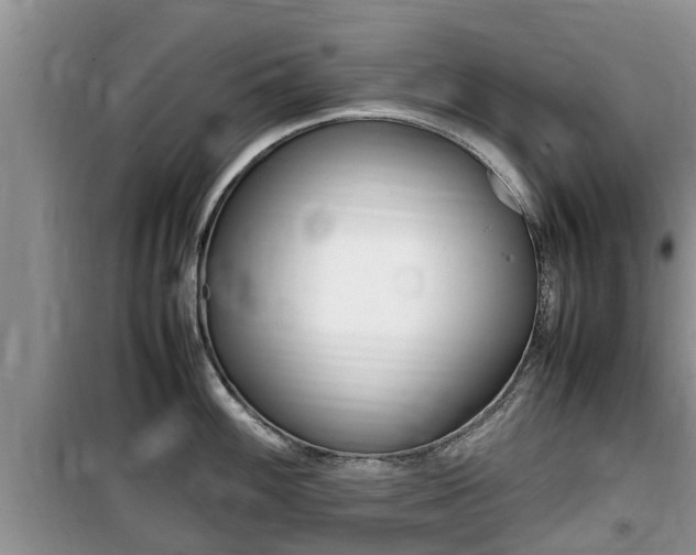 X0000100191100200805300719