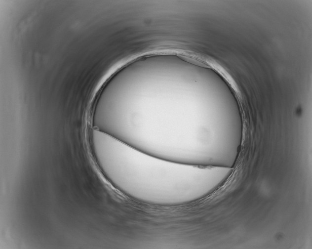 X0000100191101200805300719