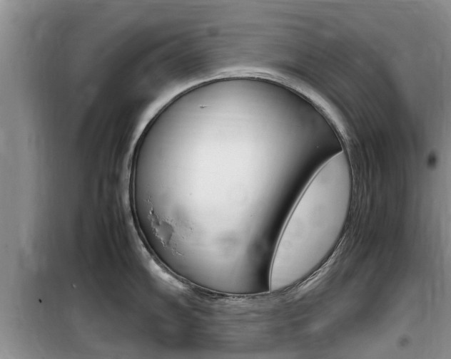X0000100191102200805300719