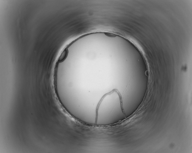 X0000100191104200805300719