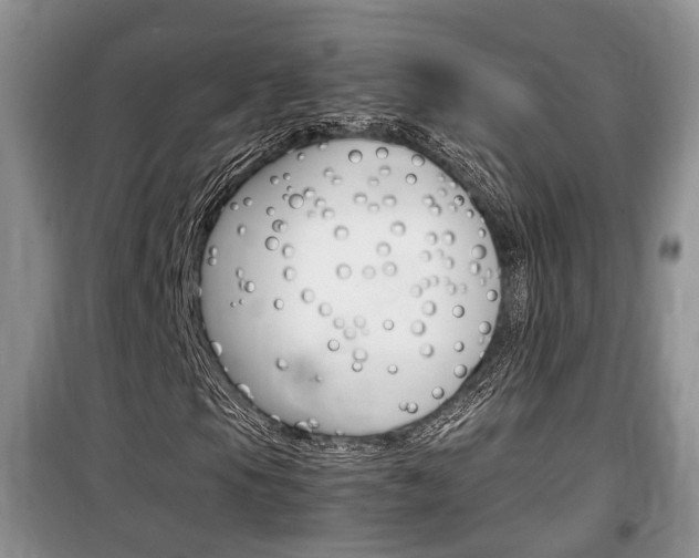 X0000100191105200805300718