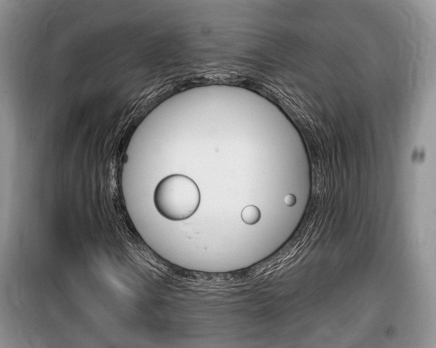 X0000100191106200805300718