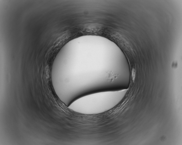 X0000100191107200805300718