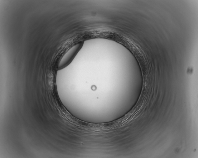 X0000100191108200805300718