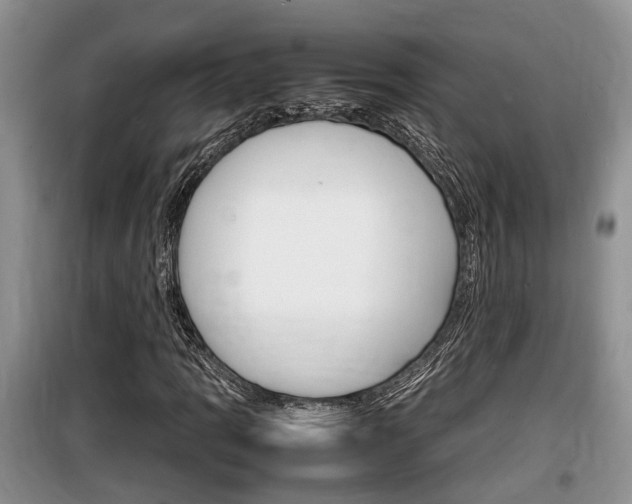 X0000100191109200805300718
