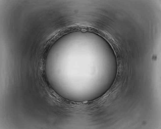 X0000100191110200805300718