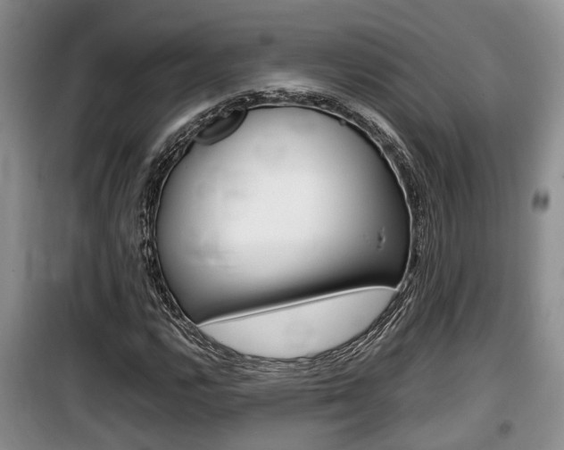 X0000100191112200805300718