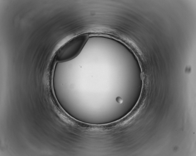 X0000100191114200805300718