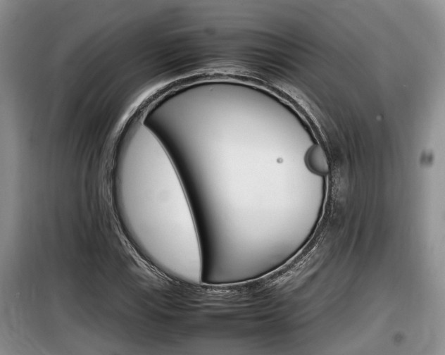 X0000100191115200805300718