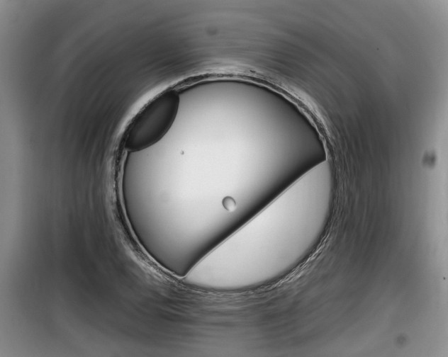 X0000100191120200805300718