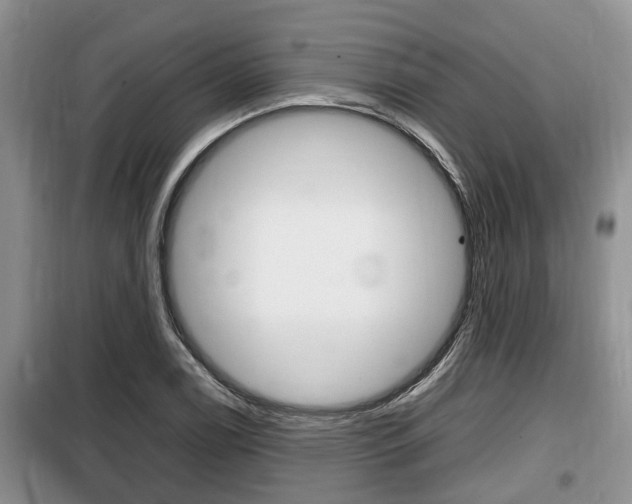 X0000100191122200805300718
