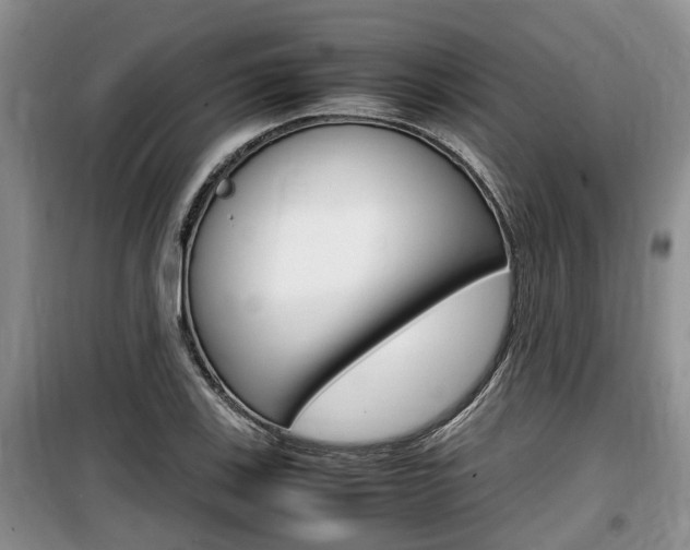 X0000100191123200805300718