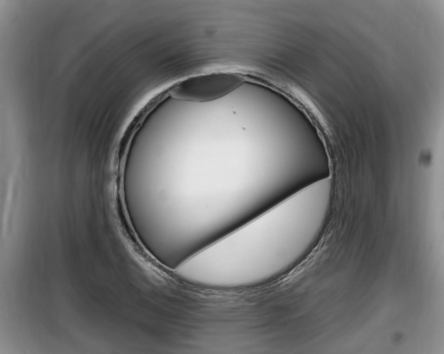 X0000100191124200805300718