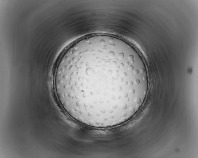 X0000100191125200805300718