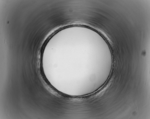 X0000100191126200805300718