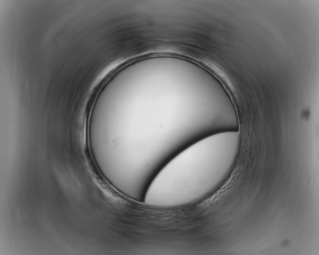X0000100191127200805300719