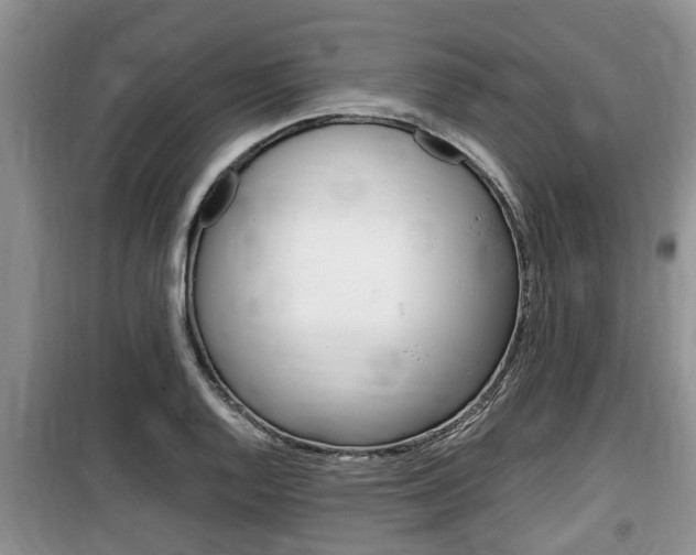 X0000100191128200805300719