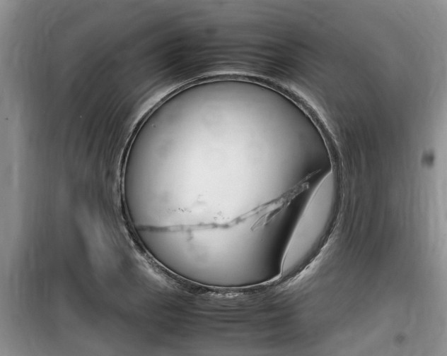 X0000100191129200805300719