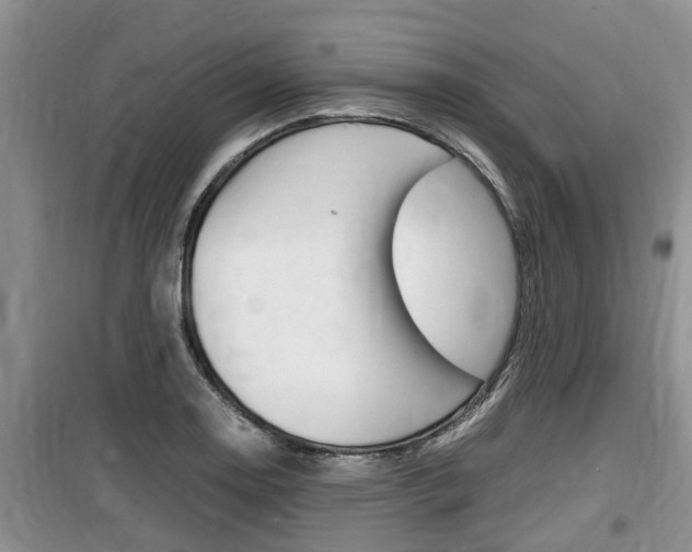 X0000100191130200805300719