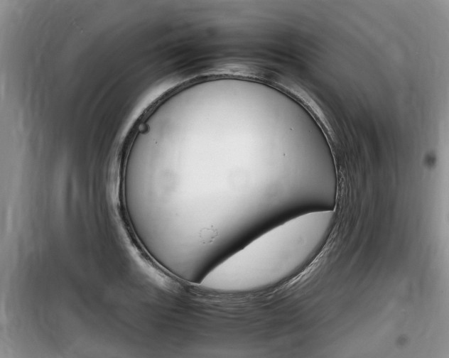 X0000100191131200805300719