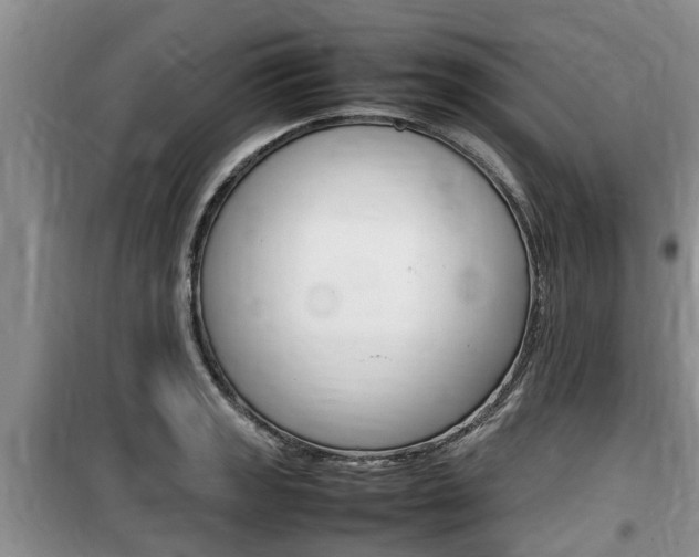 X0000100191133200805300719