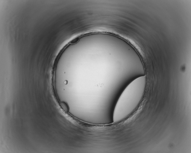 X0000100191134200805300719