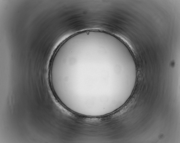 X0000100191135200805300719