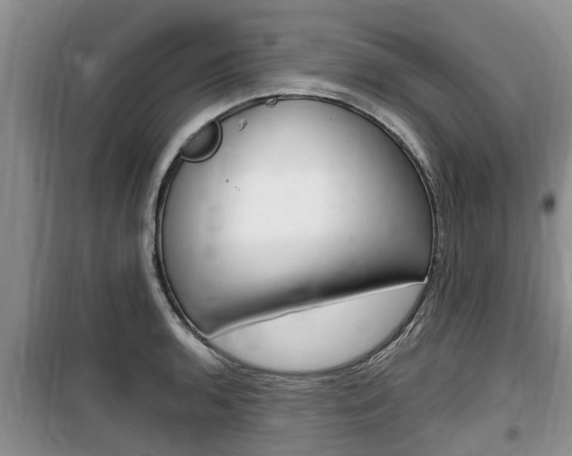X0000100191136200805300719