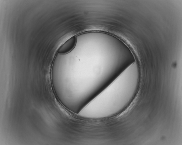 X0000100191137200805300719