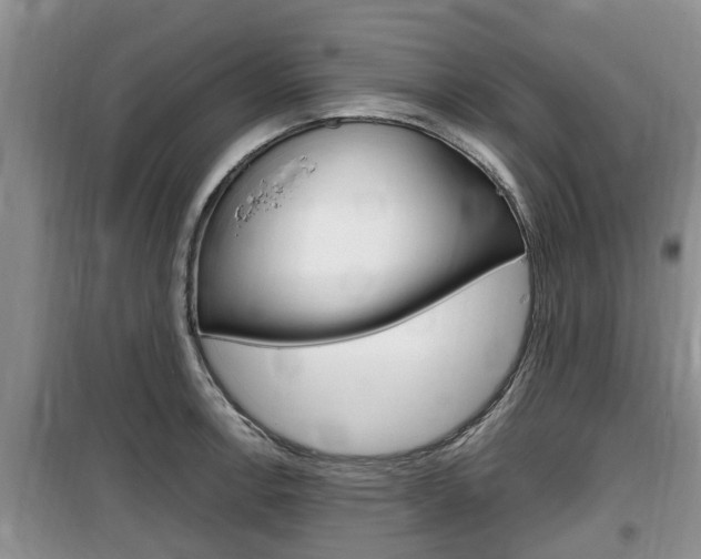 X0000100191138200805300719