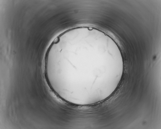 X0000100191140200805300719