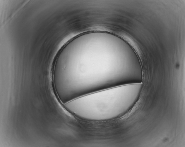 X0000100191141200805300719