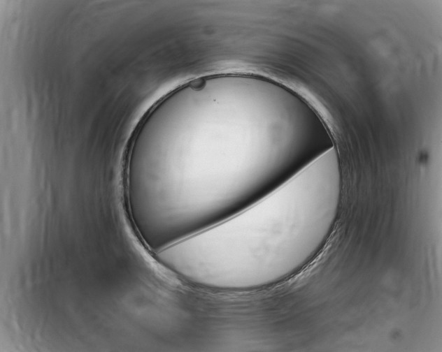 X0000100191142200805300719