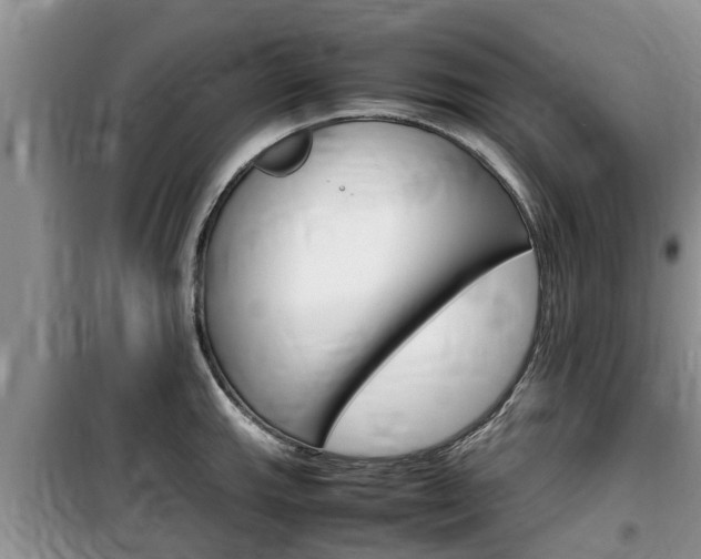 X0000100191143200805300719