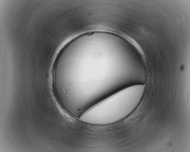 X0000100191144200805300719