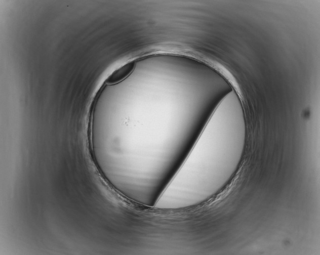X0000100191146200805300719