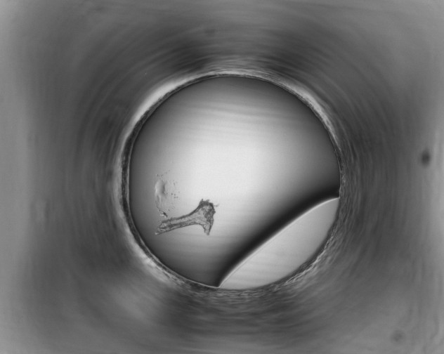 X0000100191147200805300719