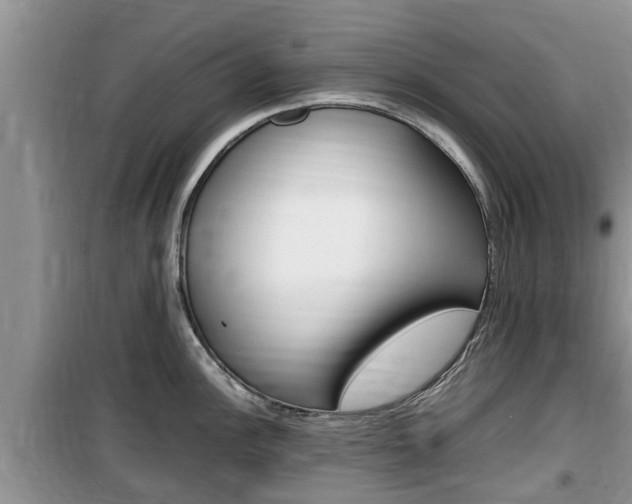 X0000100191148200805300719