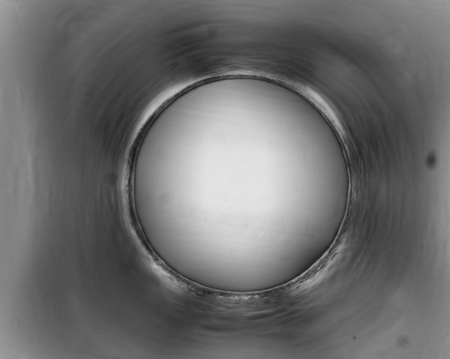 X0000100191149200805300719