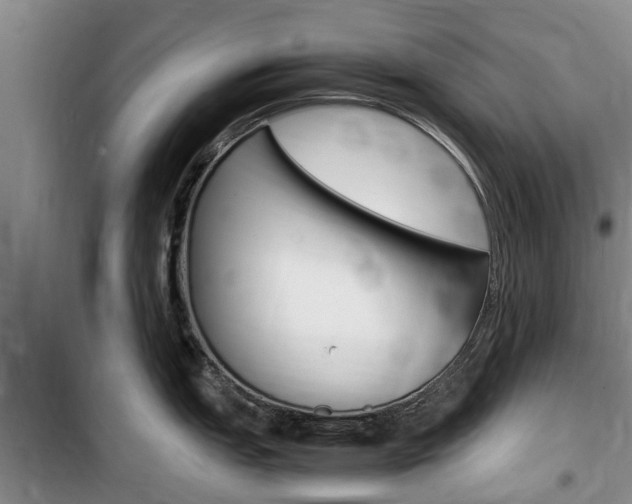 X0000100191151200805300719