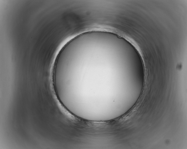 X0000100191152200805300719