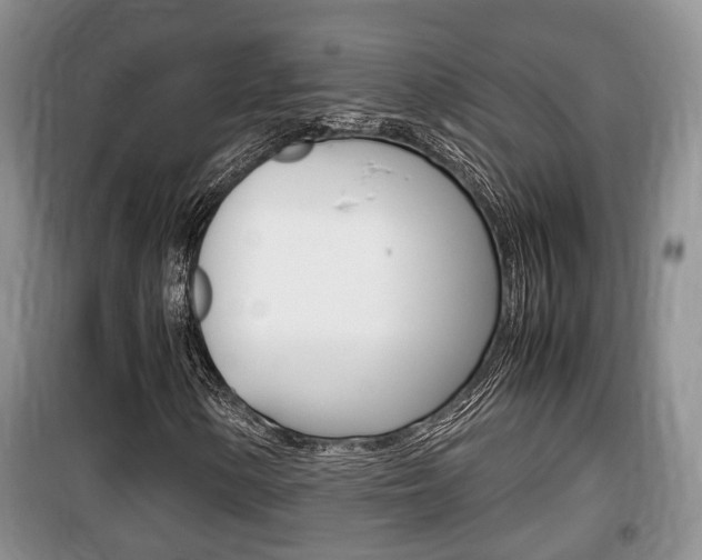 X0000100191154200805300718