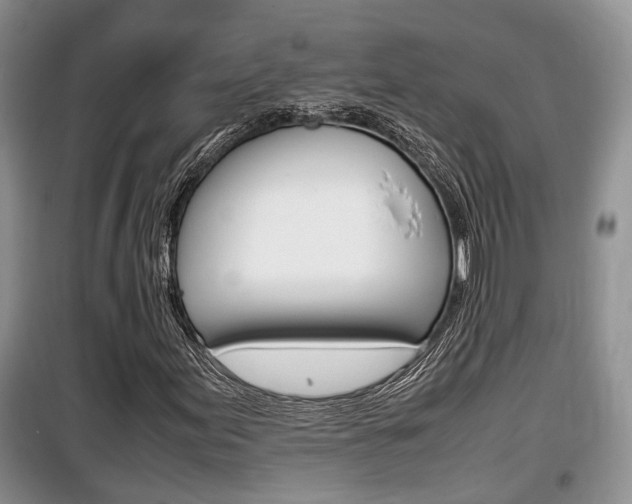 X0000100191155200805300718