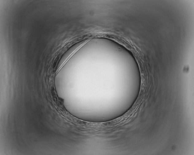 X0000100191157200805300718