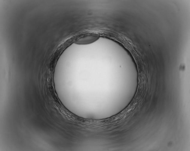 X0000100191158200805300718