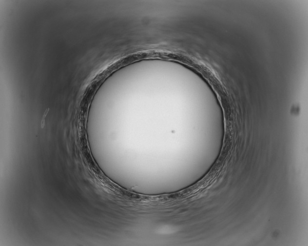 X0000100191159200805300718